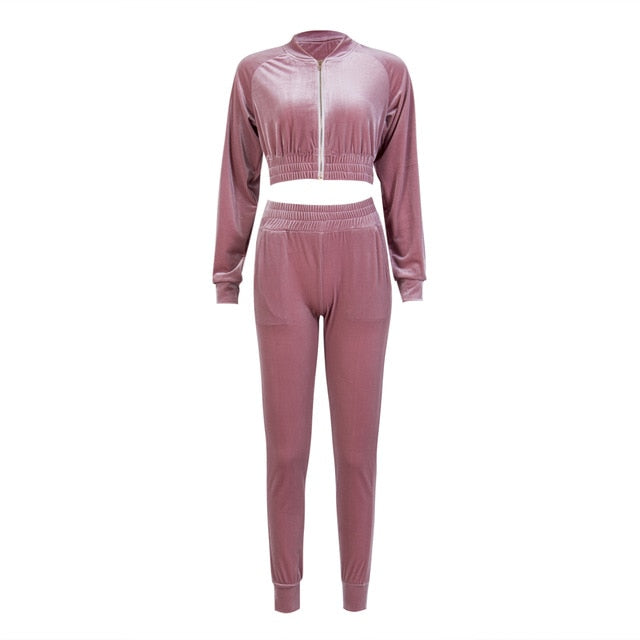 Women Sweatshirt Pants Sets Velvet Tracksuit Velour smooth soft Suit freeshipping - Sassy Nilah Boutique