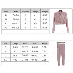 Women Sweatshirt Pants Sets Velvet Tracksuit Velour smooth soft Suit freeshipping - Sassy Nilah Boutique