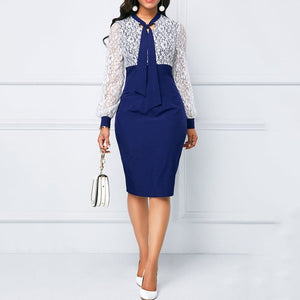 Women's Office Bodycon Dress | Bodycon Dress | Sassy Nilah Boutique