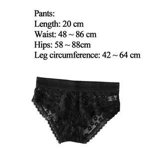 Women Panties Sexy Lace Underwear Woman Knickers Lace Panties Mesh Floral Lingerie Female Seamless Briefs Underpants Plus Size freeshipping - Sassy Nilah Boutique