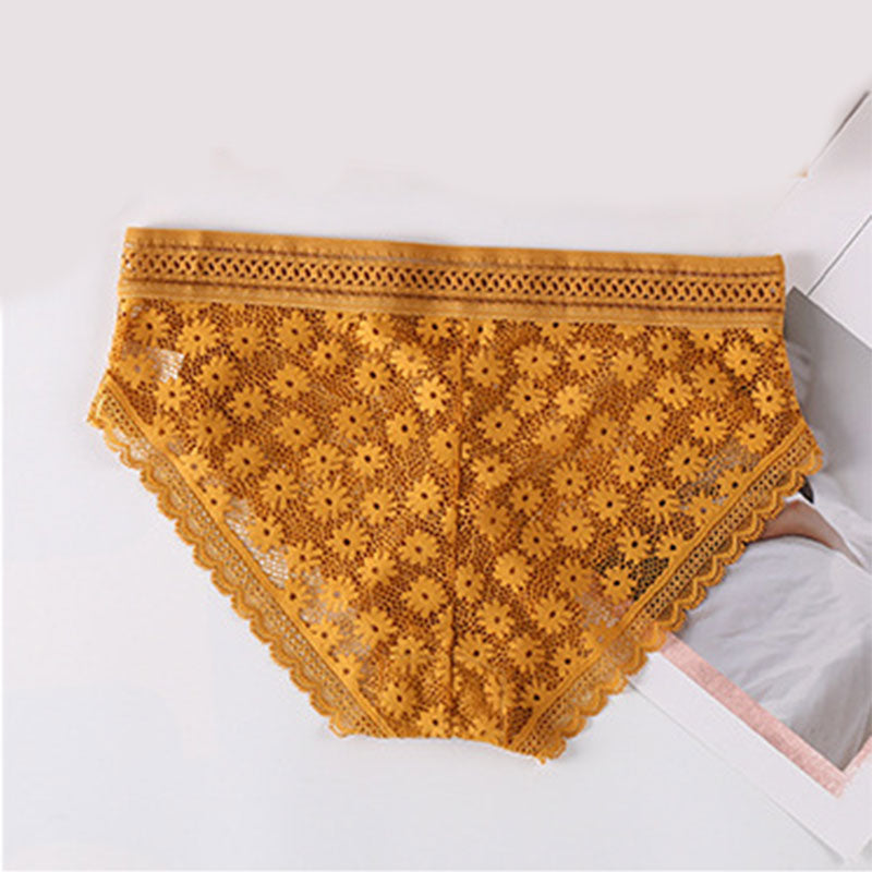 Women Panties Sexy Lace Underwear Woman Knickers Lace Panties Mesh Floral Lingerie Female Seamless Briefs Underpants Plus Size freeshipping - Sassy Nilah Boutique